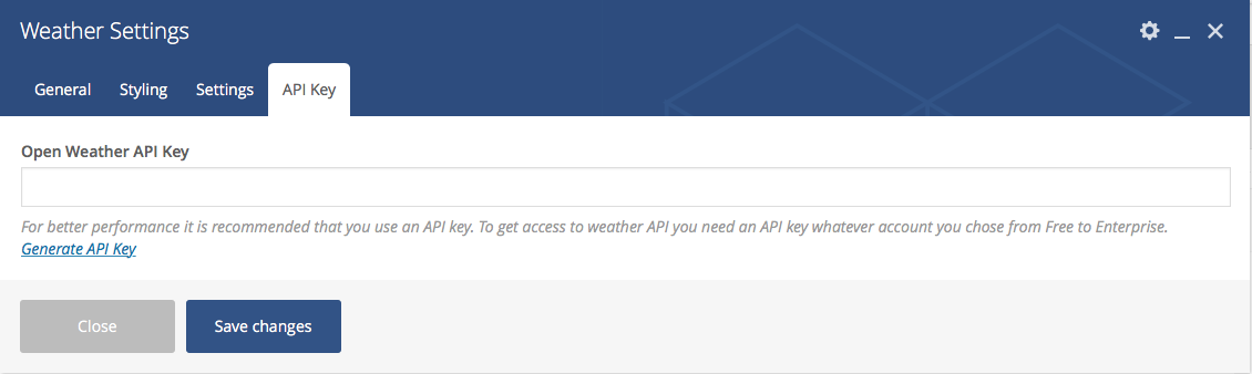API Key tab