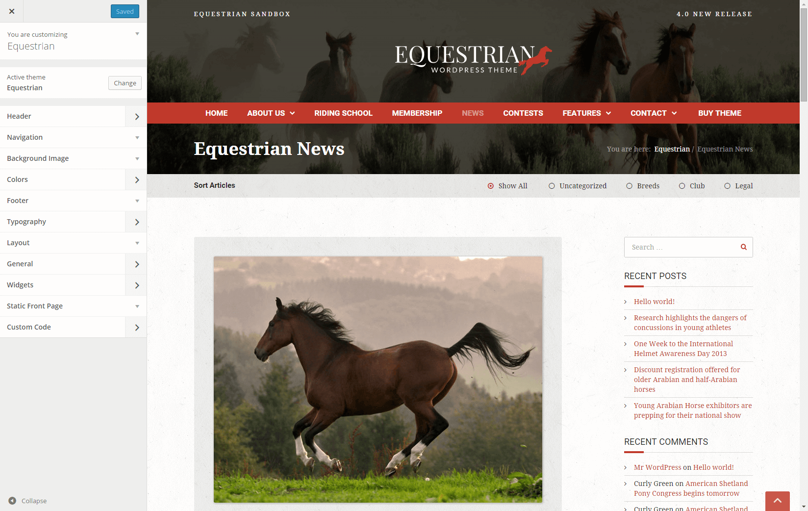 Equestrian customizer