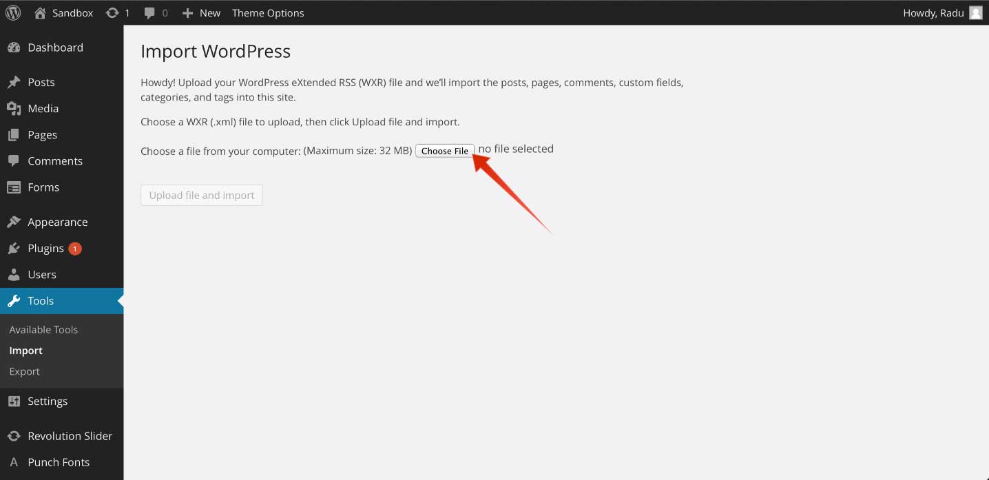 WordPress Import Demo Content Page